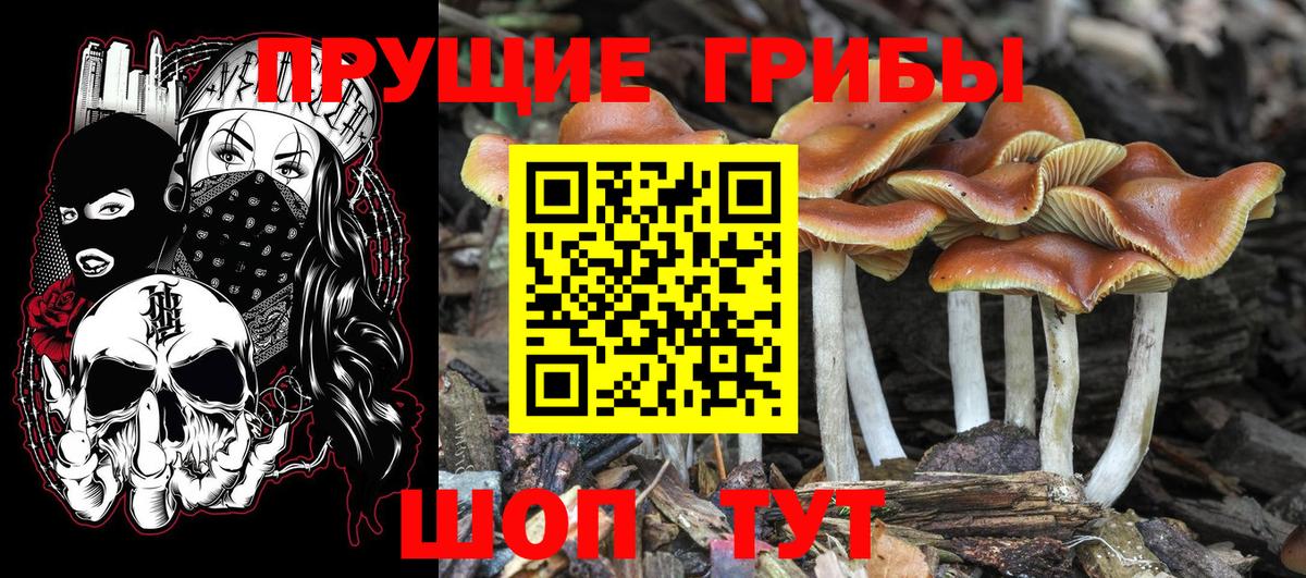 Галлюциногенные грибы прущие грибы Тосно