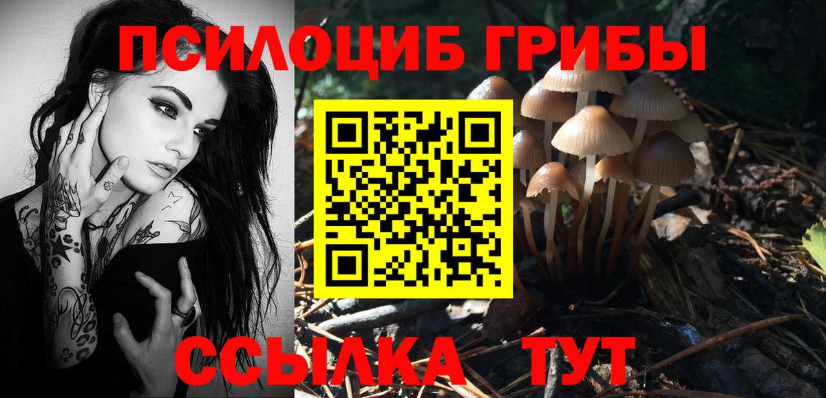 Галлюциногенные грибы прущие грибы  Вход с VPN  Тосно 